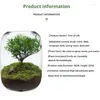 Wazony mche bonsai artefakty mikro krajobraz świeży zieleń wazon pulpitu butelka Eco