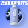 EU -Lagerhaus Original Pilot Puff 25000 20000 Vapes Vaper 28ml Vape -Gerät Sigaretta Elettronica 2% 3% 5% 10 Fruchtsaft vorgefüllte Karren Mesh Coil 650mah wiederaufladbar