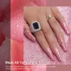 Glitter aokitec immergerti kit per chiodo in polvere immersione in polvere set naturale unghie francesi a secco artistico decorazioni manicure