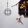 Décorations de jardin à l'extérieur Faisseur d'oiseaux suspendus pour oiseaux sauvages Crochet Metal Gat Ball Outdoor Décoration Outils d'alimentation S8D6