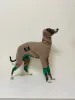 Rompers Greyhound Clothes Winter Fourlegged Jumpsuit for Italian Greyhound Coat Whippet Winter Jacket Abdominal Protection Dog Clothes