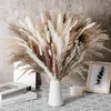 Fleurs décoratives 80pcs boho décoration intérieure séchée pampas herbe bouquet blanc pompas farmhouse arrangements floraux arrangements floraux