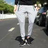 Pantalon masculin 2024 pantalon de marque lâche de grande taille décontractée pour un pantalon de coton pur chaud mâle