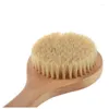Makeup Brushes 5X Long-Handled Bristle Detox Wooden Handle Body Brush Skin