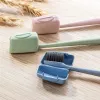 Têtes 4 / 5pcs brosse à dents Boucgins couvercles portables supports de brosses à dents portables Études de protection pour voyager Organisateur de salle de bain de camping en plein air