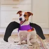 Hondenkleding Halloween Kostuum Pet Bat Kleding Katvleugel Vouwkatten Honden Purple Decoratieve rugkleding