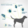 Chien Flea Tick Remèdes