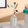 Vazen Noordse ins schitterende kleine vaas met gedroogde bloem woning decoratie woonkamer tafel parel geglazuurde arrangeur decor