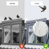 Araçlar 10pcs Plastik Kuş Başak Şeritleri Kediler için Kurtlayıcı Anti Güvercin Krederi Dış Mekan Bahçe Çitleri Kuş Kontrolü Çivileri