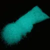 Glitter Luminous Phosphor Glow Sand For Nail Arts Decorations ,Super Bright Noctilucent Sand Glow In The Dark, Color:Blue Green