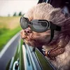 Hundkläder små solglasögon UV -skydd justerbara doggy glasögon Easy Wear Windproof Motorcykelvalpglasögon