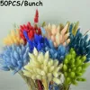 Decorative Flowers Artificial Uraria Picta Plant Stems Shooting Props Tail Grass Tails Lagurus Ovatus Dried Bouquets