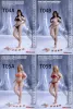 Dolls Phicen 1/12 TM01 T02A T03B T04A T05B Female/male Action Figure Seamless Body With Head Sculpt Pale Suntan Figure Dolls Toys Gift