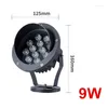 Pelouse LAMP GARDINE Paysage Spotlights Bouet de pur