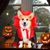 犬のアパレル猫吸血鬼マント面白いコスプレハロウィーンコスチュー