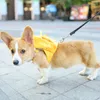 Hondendrager Pet Fashion Bag Large en middelgrote harnas Travel Outdoor Training Portable Foldable