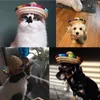 Vêtements pour chiens chiens de compagnie de paille mexicaine