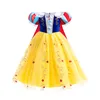 Journée pour enfants Cosplay Party Robes Girls broderie Revers Puff Sleeve Lace Tulle Robe Kids Halloween Festival Performance Vêtements Z7854