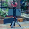 TRIPODS ULANZI MT08 SLR CAMERA VLOG TRIPOD KOUDE SCHOEN TELEFOON Mount Holder voor microfoon LED Light Mini Tripod voor Sony A6400 A6300