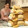 Coussins Nouveau arrivée 3575 cm mignon corgi shiba inu chien en peluche toys kawaii allongé