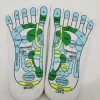 Tool 1 Pair Acupressure Socks Physiotherapy Massage Socks Relieve Tired Feet Acupoint Reflexology Socks with Massage Stick Foot Care