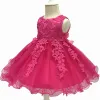 Sets Baby Girls Kleid 2023 Neue Sommer -Säuglings -Lace -Partykleid für Mädchen 1 Jahr Geburtstagskleid Hochzeit Taufkleid Kinder Kleidung