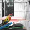 Andra fågelförsörjningar Toy Cage Stand Accessories Toys Birds Abbores för Cockatiels Parakeet Träspelet