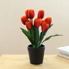 Fiori decorativi simulazione piante in vaso non è necessario irrigare la decorazione realistica fiore di seta finta nove testa bonsai di tulipano artificiale per
