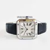 Dials arbeiten automatische Uhren Carter Womens Watch Sandoz Serie Square Quartz Mechanical Watch Neue WSSA0022