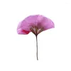 Decoratieve bloemen originele geranium op stengels specimens diy gedrukt voor het onderwijzen van prop 120pcs gratis verzending