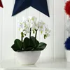 Decorative Flowers In. Phalaenopsis Orchid Artificial Arrangement In White Vase