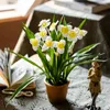 Dekoratif Çiçekler Simülasyon Sahte Çiçek Sümbül Zambak Vadisi Dekorasyon Yemek Masası Sakıf Bitki Nergis
