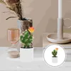 Decoratieve bloemen Simulatie Cactus Succulente Planters Pot Model Levenseegelachtige mini -decor Potting Decoratie Plastic nep bonsai