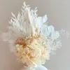 Dekorativa blommor Vita pampas gräs torkad bukett högkvalitativ bevarad hortensia evig hybrid bröllop heminredning