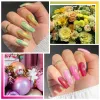 Zestawy Mizhse 12pcs/Lot Hologograficzny żel lakier do paznokci Super laserowy półprzepustny lakier do paznokci UV do manicure paznokcie