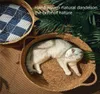 Cat Beds Furniture Pure Manual Rattan Woven Nest Four Seasons General Dandelion Cool Bed Scratch Board Pet Products 2210103972634