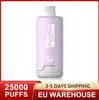 Pilot Puff Bar Disponível Vape Puff 20000 25000 28 ml Vapes Vapes Vapes Preenchido Carrinho E Zigarette 2% 3% 5% Bobina de malha 650mA