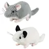 Animaux en peluche en peluche 30 cm / 11,8 pouces de souris chinchilla réaliste en peluche de peluche de peluche pour enfants