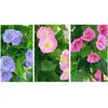 Decorative Flowers Morning Glory Wall Hanging Artificial Fake Plants Basket For Home Wedding Parties Decor