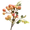 Fiori decorativi frutta finta bacca di bacca piccola decorazione per matrimoni tavolo da casa vegetale ornamenti natalizi artificiali accessori ghirlanda