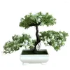 Fiori decorativi ganoderma albero pino simulazione fiore pianta artificiale bonsai falsa pista verde piante ornamenti tavolo decorazione top decorazione