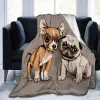 Set di chihuahua carini gemelli di chihuahua gettano coperta acqueretto per cognello a occhi grandi flanella morbida calda accogliente per divano letto di divano, regali a casa da letto