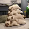 Poux en peluche 55cm-90cm Animal mignon kawaii pug chien toys toys sleep oreiller kid