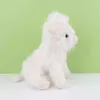 Animales de peluche rellenos 29 cm Simulación Kaii Highland Highland Animal Plush Muñeca Soft Boothled Highland Phating Feathing Juguete Kyloe Flushie Regalo para niños