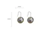 Dangle Earrings Jewelry Girl Gift Temperament Niche Design Ball Pendant Ear Hooks Women Korean Style Stud