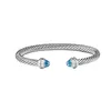 DYS925 Silver Bracelet: een verbluffende toevoeging aan uw collectie