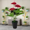 Decoratieve bloemen Mooie lichtgewicht Anthurium -opstelling vaste plastic natuurgroene en rode faux plant voor kantoren