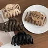 Otros clips grandes de café neutro para accesorios gruesos para el cabello de la mujer