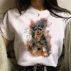 القمصان النسائية Schnauzer Tshirt Women Harajuku Tee Girl ANIME COLLES