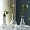 Wazony w stylu nordyckim szklanym wazon prostota przezroczyste dekoracje domowe Ozdoby pulpitu wytłaczane kwiaty wazonowe przyjęcie weselne